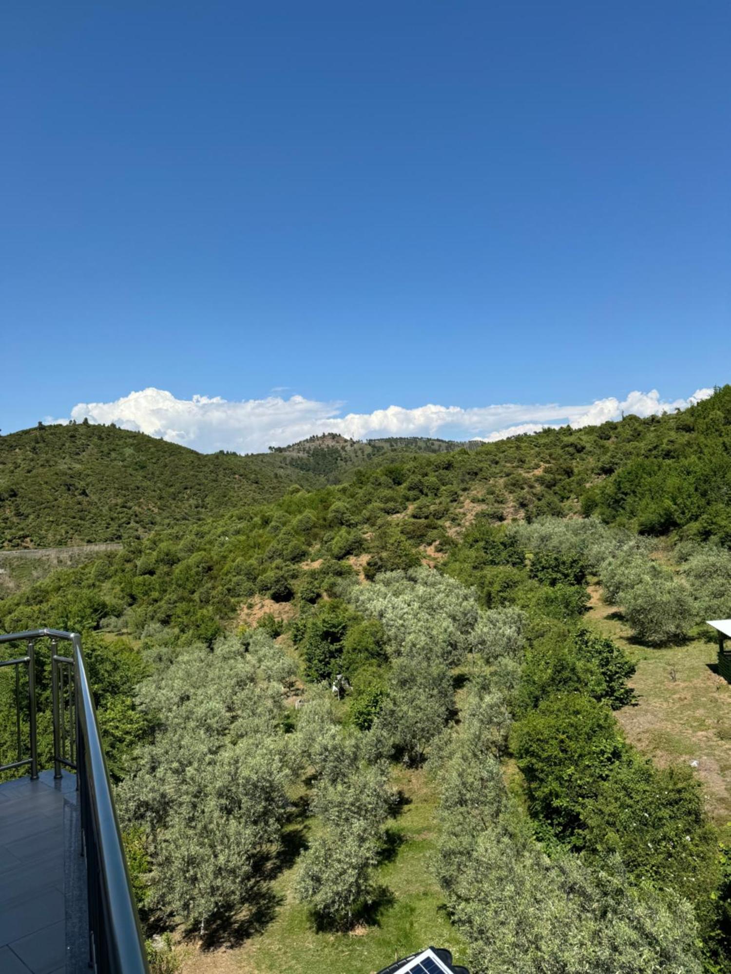 Qyteza Guest House & Camping Shkodër Eksteriør billede